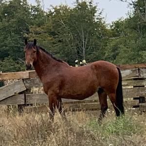 Meet your Posher, Lora